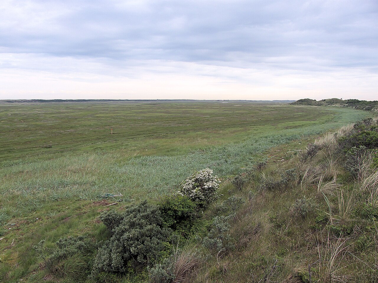 De Slufter op Texel met duinen, een zandige vlakte, kweldervegetatie en een wandelpad