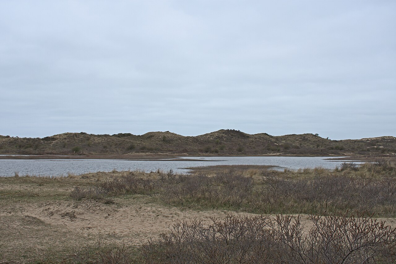 Open duinvallei van Groot Olmen in Nationaal Park Zuid-Kennemerland