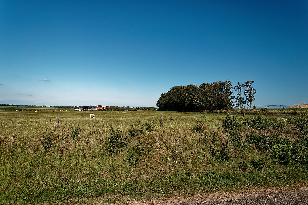 De Hoge Berg op Texel met glooiende graslanden en het karakteristieke oude cultuurlandschap.