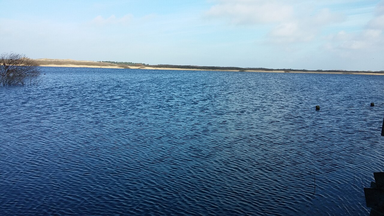 Een groot duinmeer met rietoevers en duinen in natuurgebied Zwanenwater bij Callantsoog